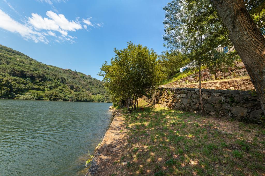 Douro Green カステロ・デ・パイヴァ エクステリア 写真